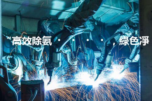 “高效除氨，綠色凈流：揭秘氨氮廢水處理新篇章”